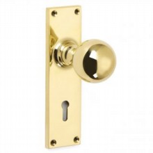 Ball Door Knob on Backplate