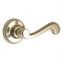 Princess Lever on Small Rose