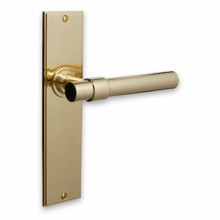 Chippenham Lever on Plate Door Handle