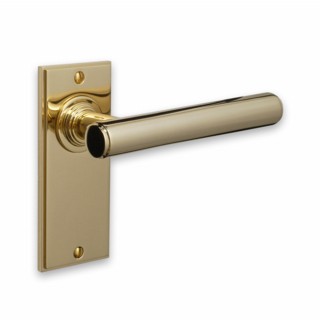 Contemporary Door Handle on Plate