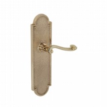 Governor Lever Latch Door Handle