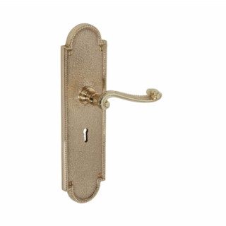 Decorative Georgian Door Handles