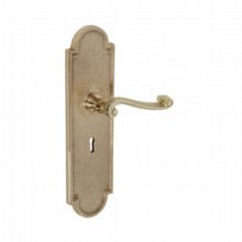 Governor Lever-Lock Door Handle