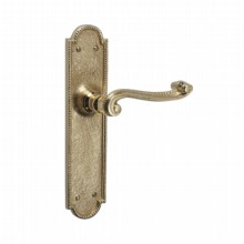 Governor Lever Latch Door Handle