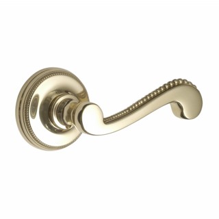 Georgian Door Handle on Covered Rose