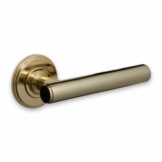 Contemporary Door Handle on Covered Rose