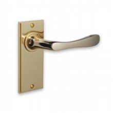 Lilliput Door Handle on Backplate