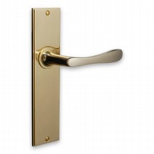 Lilliput Door Handle on Large Plate