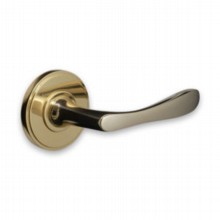 Lilliput Handle on Large Borden Rose
