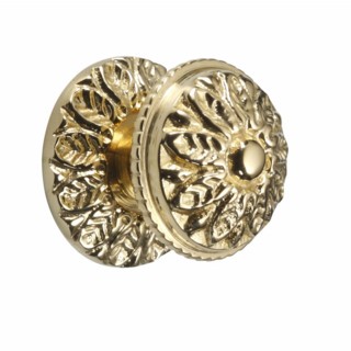 Georgian Cupboard Knob on Rose