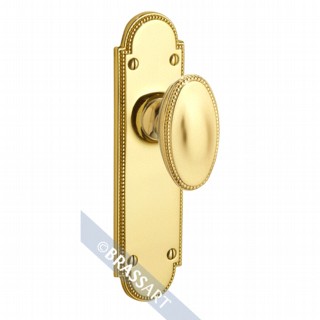 Princess Door Knob on Latch Plate
