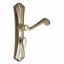 Art Nouveau Bathroom Door Handle