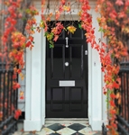 Polished Chrome Door Furniture
